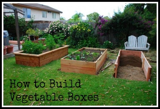 Building Vegetable Boxes For A Greek Garden California Greek