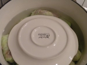 DSCN4527