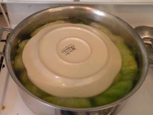 DSCN5000