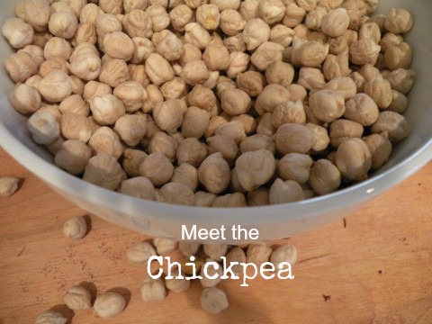 Post image for Meet The Chickpea