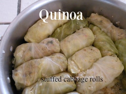 Quinoa stuffed cabbage rolls