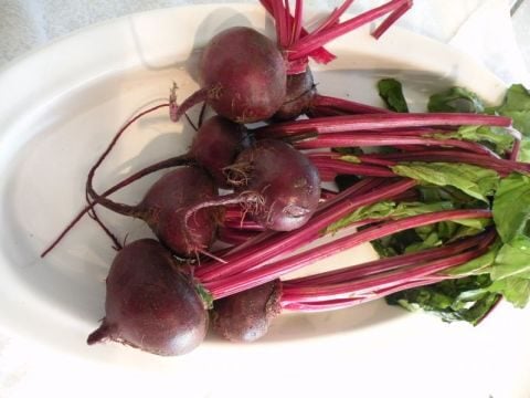 Garden Beets