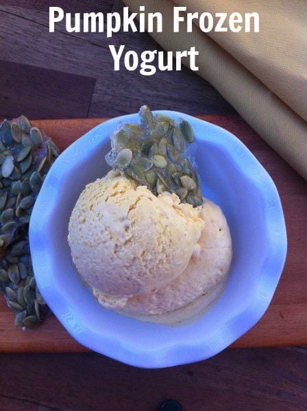 Post image for Pumpkin Frozen Yogurt with Seed Brittle