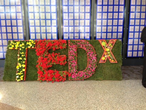 Post image for A Funny Thing Happened at TEDxSanDiego!