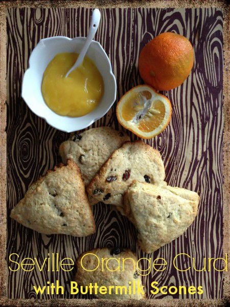 Post image for Seville Orange Curd with Buttermilk Raisin Scones