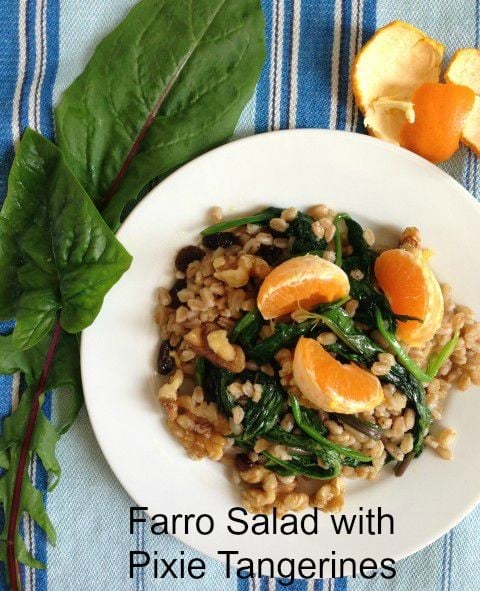 Farro Salad with Tangerines