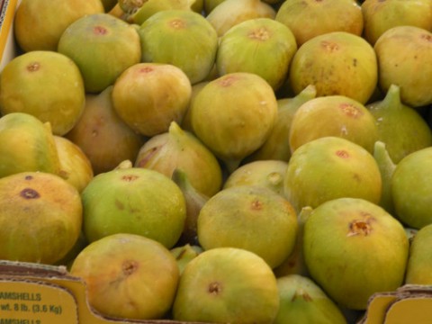 DSCN2520_01