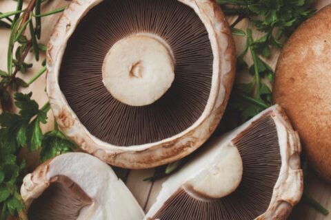 Fresh portobello mushroom