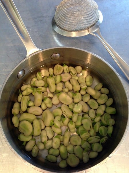 blanched favas