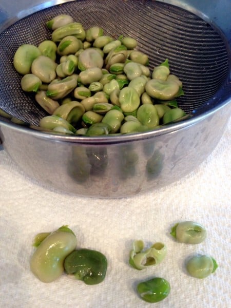 peeled favas