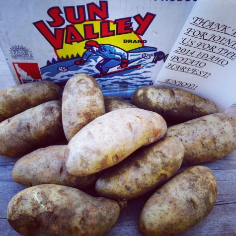 Idaho Potatoes are the Best!