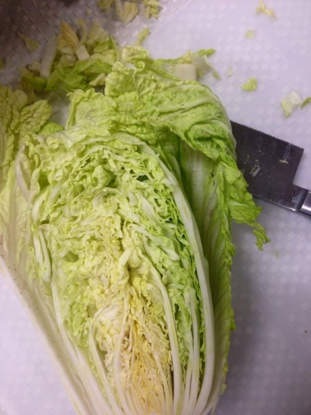 Napa cabbage 