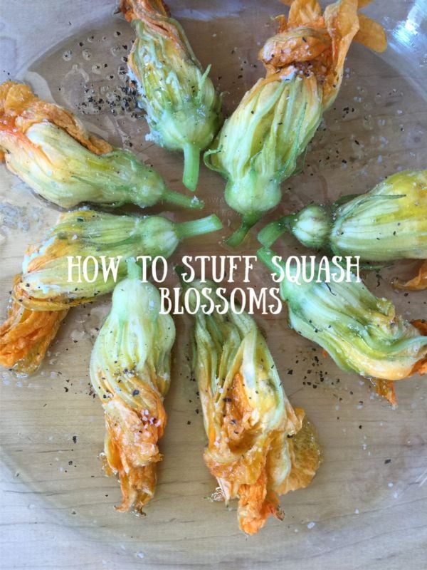 Post image for How to Stuff Squash Blossoms