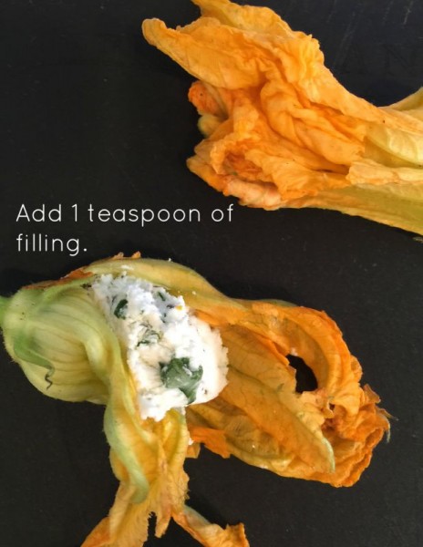 Stuffing a squash blossom with cheese.