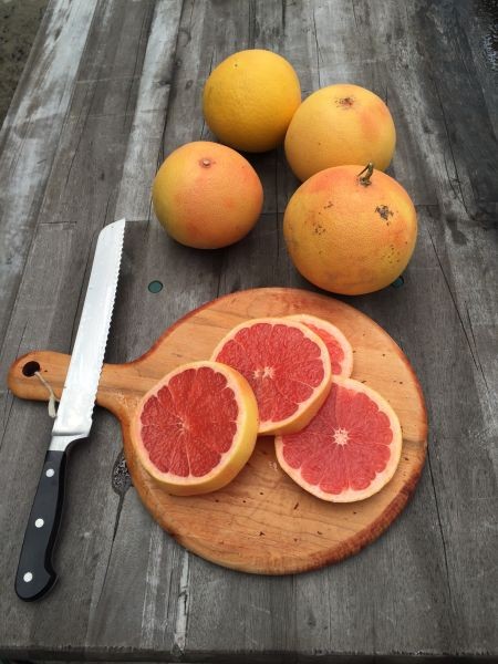 Pink Grapefruit