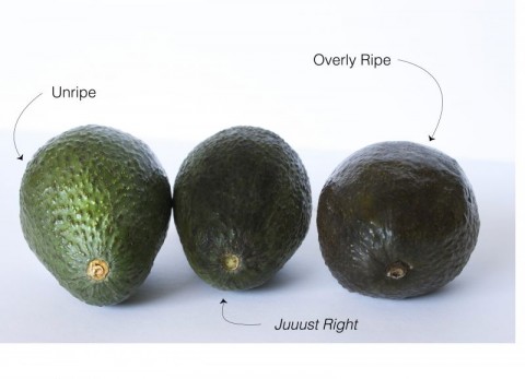 avocado ripeness