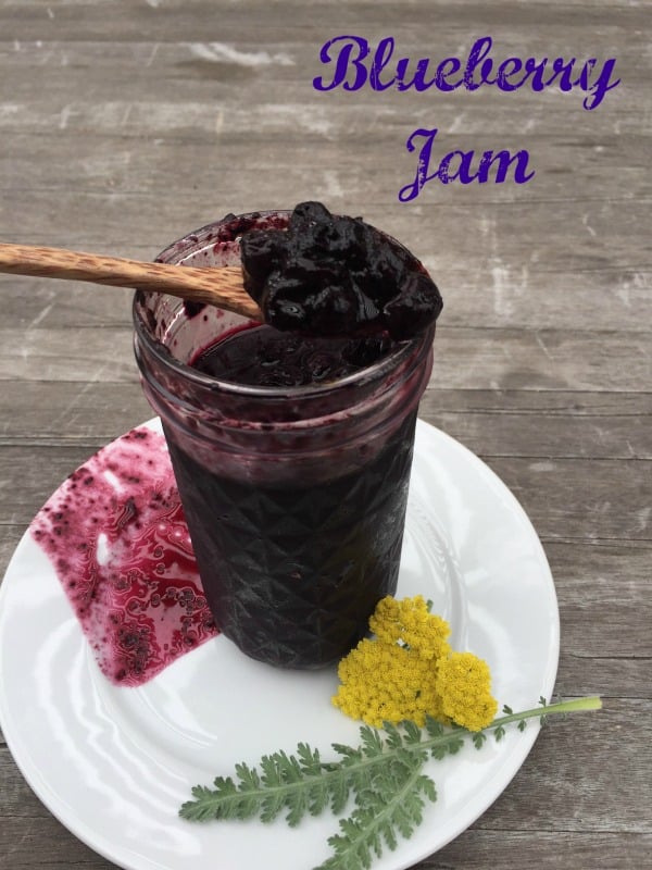 Post image for Blueberry Red Apple Vinegar Jam