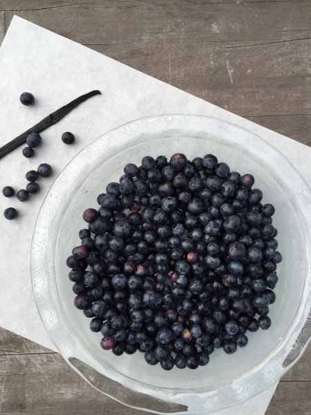 fresh blueberries