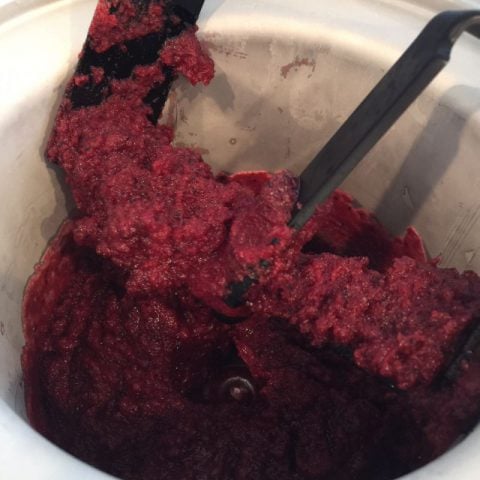 Making blueberry sorbet