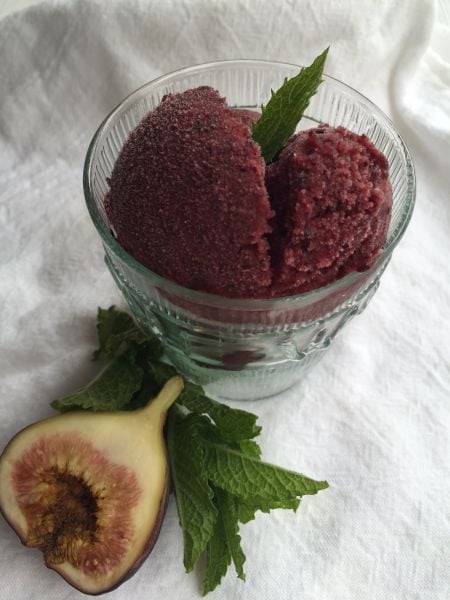 blueberry sorbet with polimiers