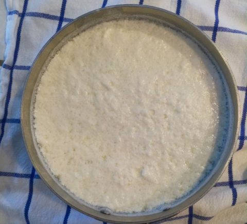 Homemade Ricotta