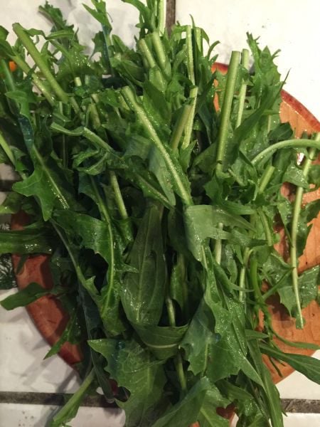 Dandelions and Grilled Fish