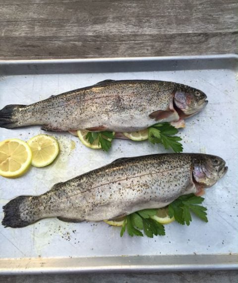 Grilled Fresh Trout with Lemon