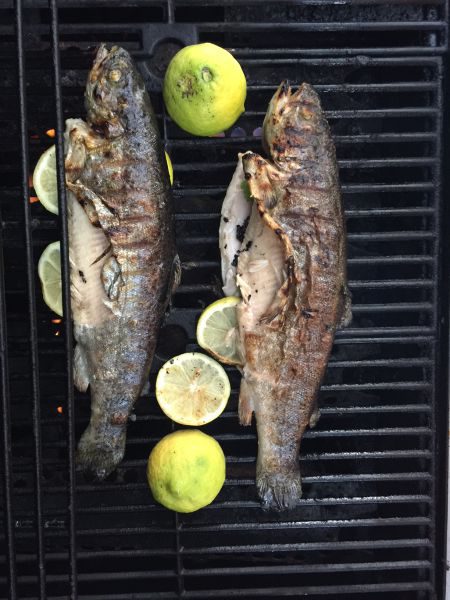 Greek Grilled Trout Lemons