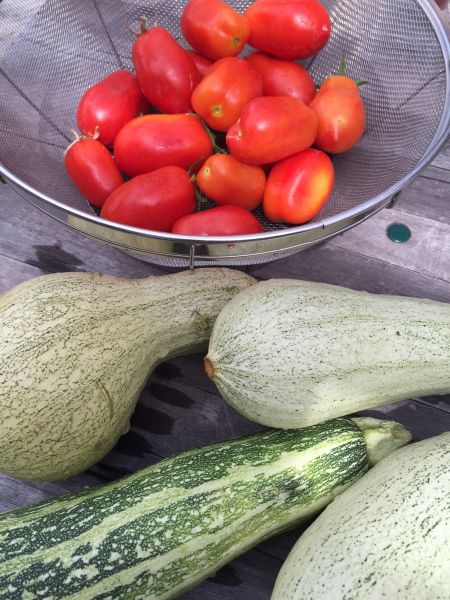 Cold Tomato Soup with Veggies