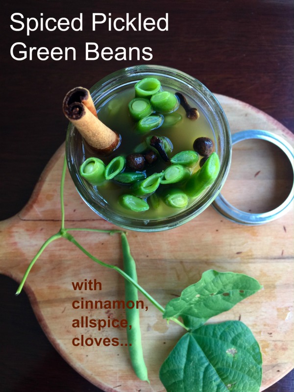 Post image for Spiced Pickled Green Beans