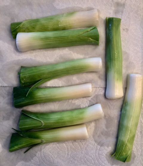 drying leeks