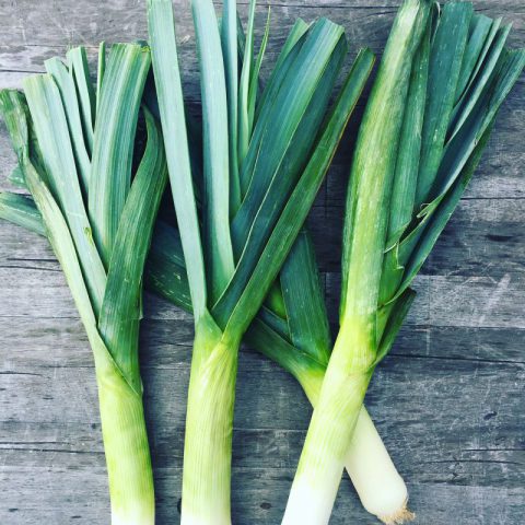 fresh leeks