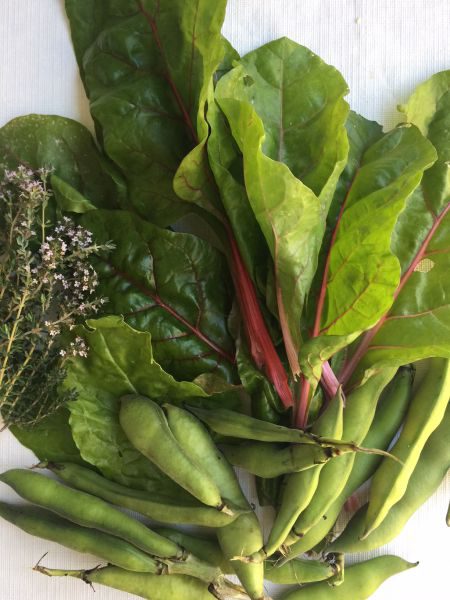 Greens from my garden