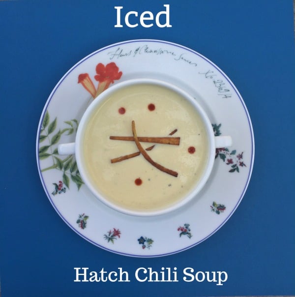 Post image for Iced Hatch Chili Soup