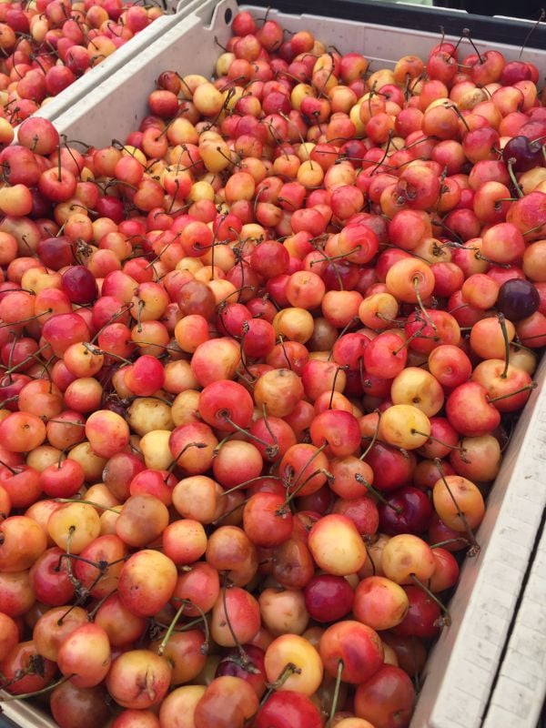 Farmer Market Cherries