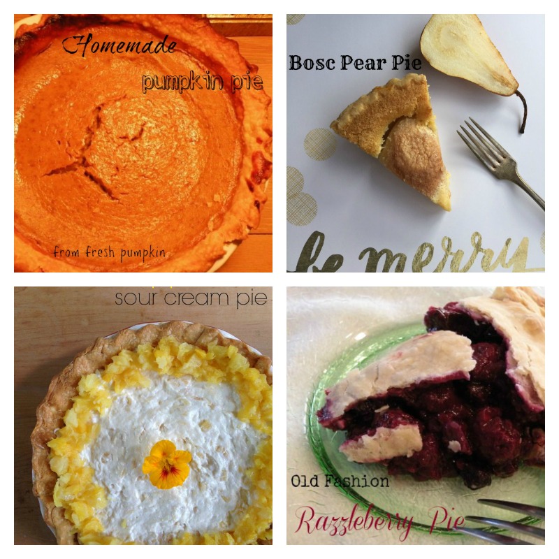 Post image for Thanksgiving Pies from California Greek Girl