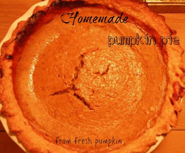 Homemade Pumpkin Pie