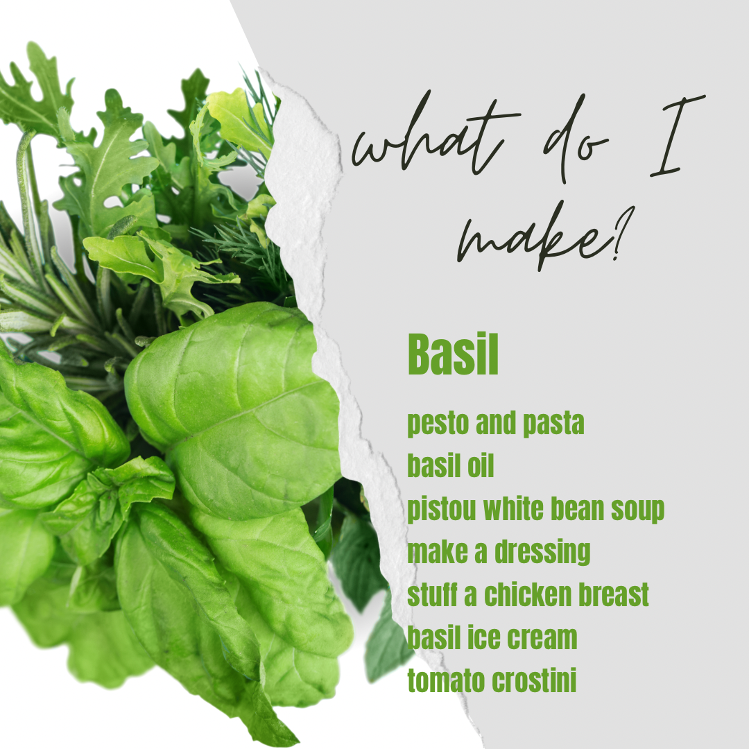 Post image for What Do I Make with Basil