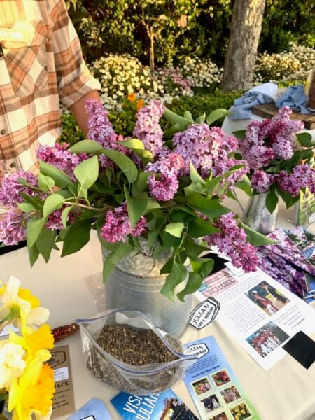 Local flowers and seeds at Graze.