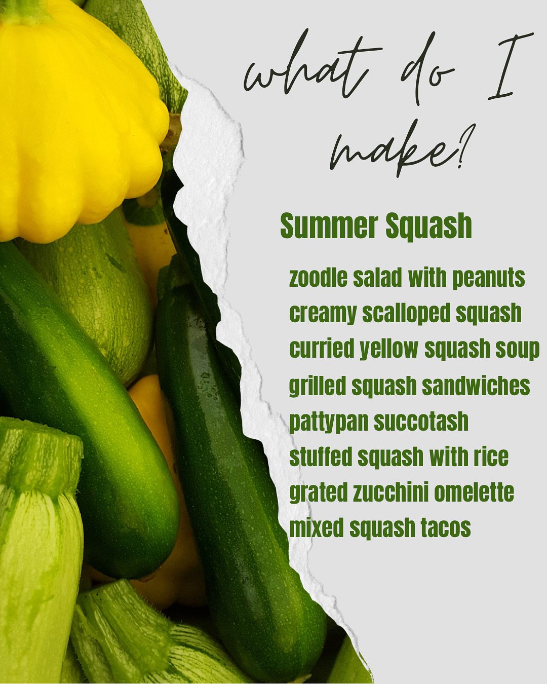 Post image for What Do I Make with Summer Squash?