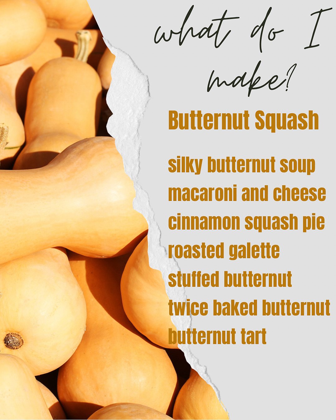 Post image for What Do I Make with Butternut Squash?